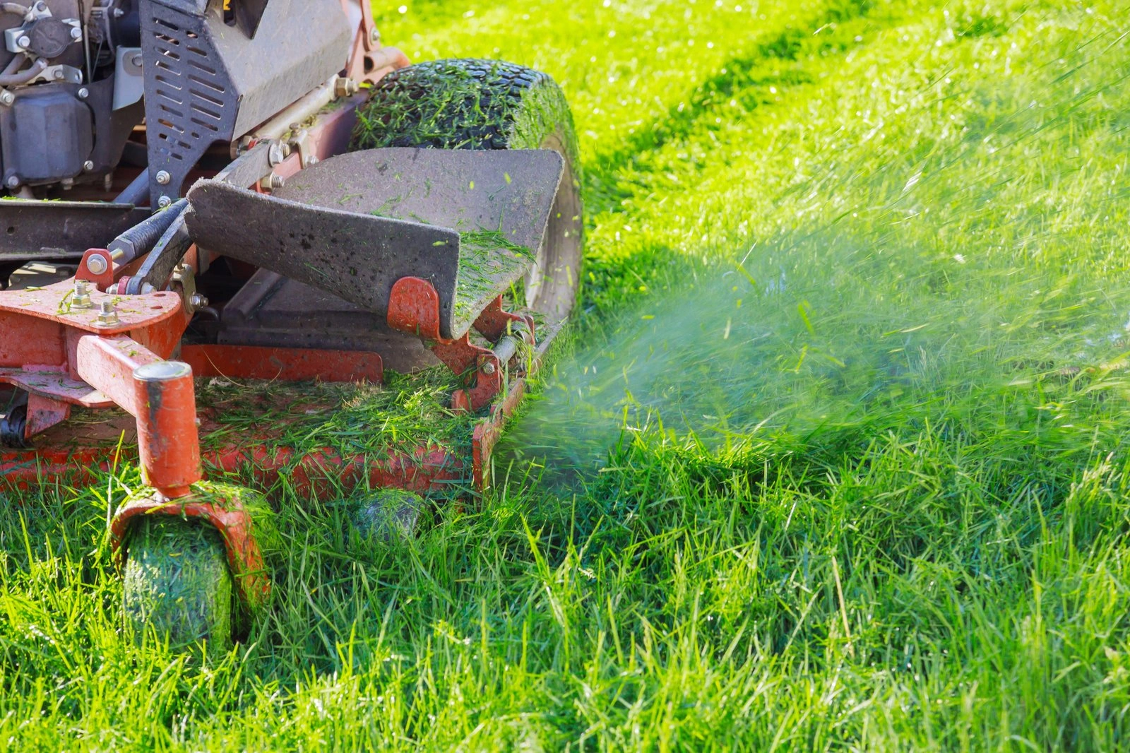 General Lawn Service - Professional Lawn Mowing & Maintenance